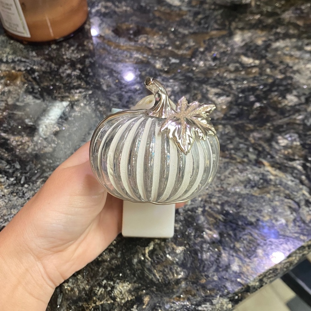 Bath and Body Works Wallflower Plug